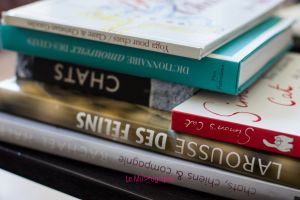 Le Muzographe pour Julie Soubiran