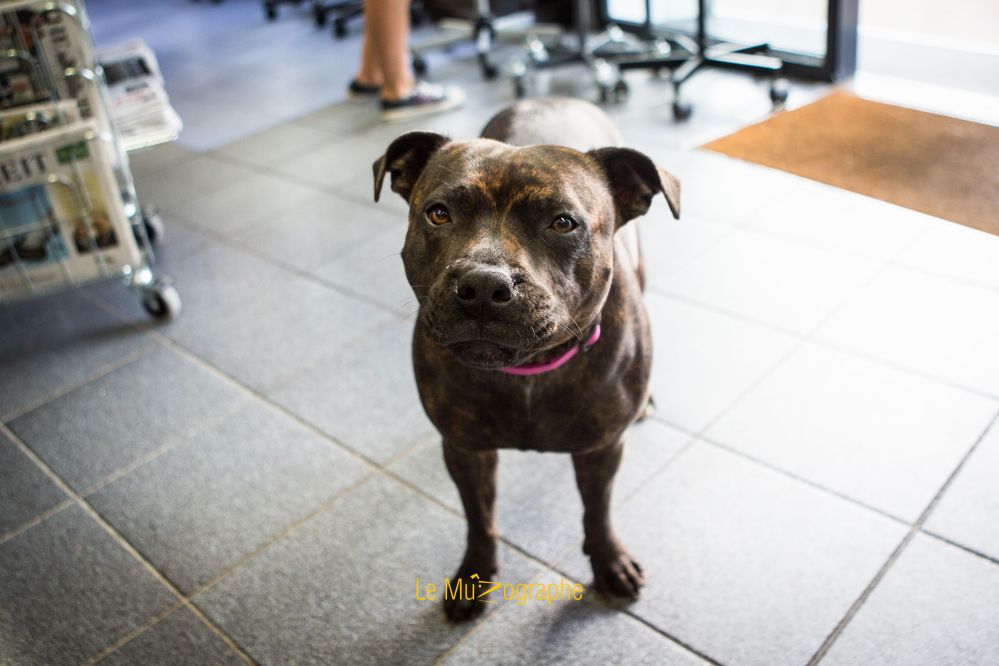 Hizie © Le MuZographe