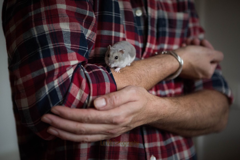 Quenotte © Nathalie Tiennot - Le MuZographe