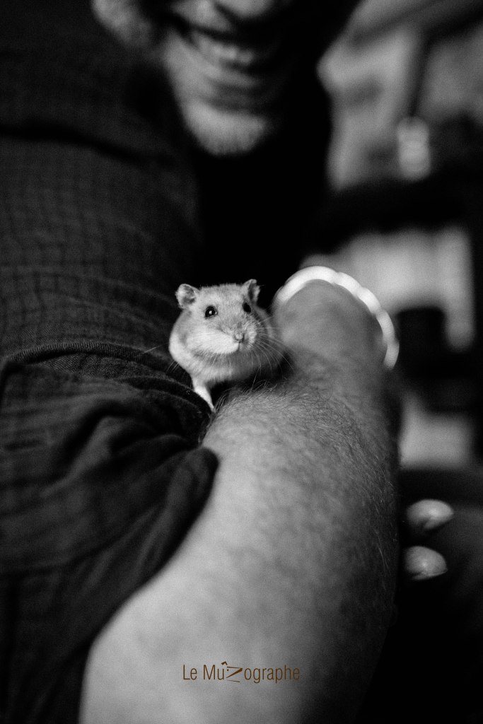 Quenotte © Nathalie Tiennot - Le MuZographe