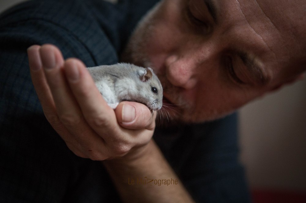 Quenotte © Le MuZographe