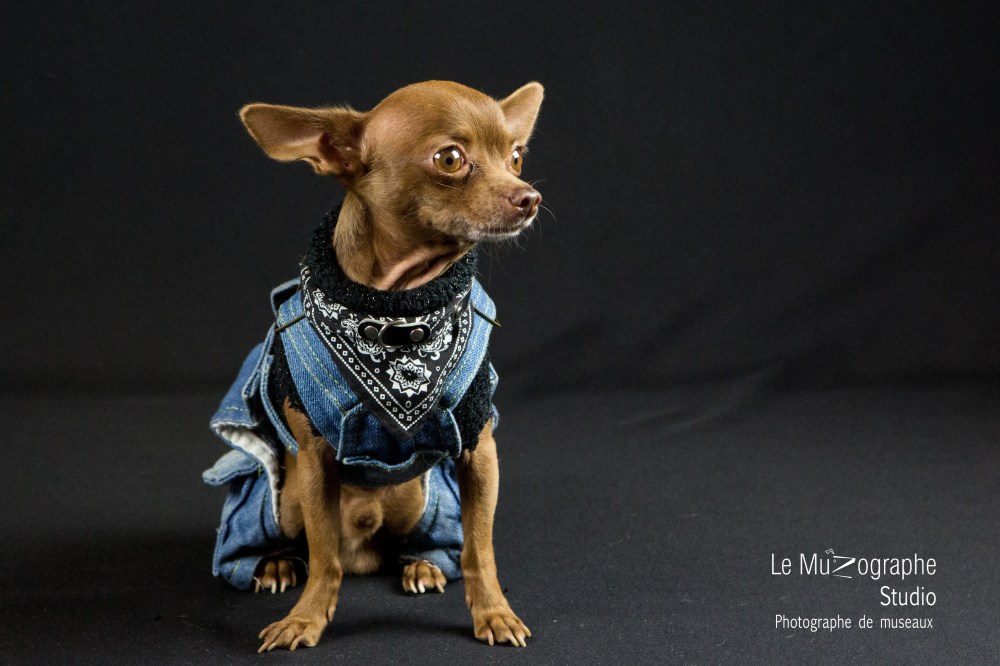 Junior © Le MuZographe Studio, 2015