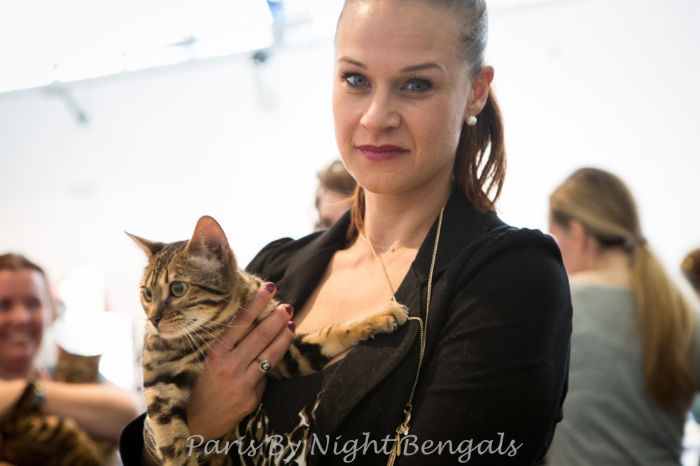 Paris By Night Bengals © Le MuZographe, Chatillon, 2015