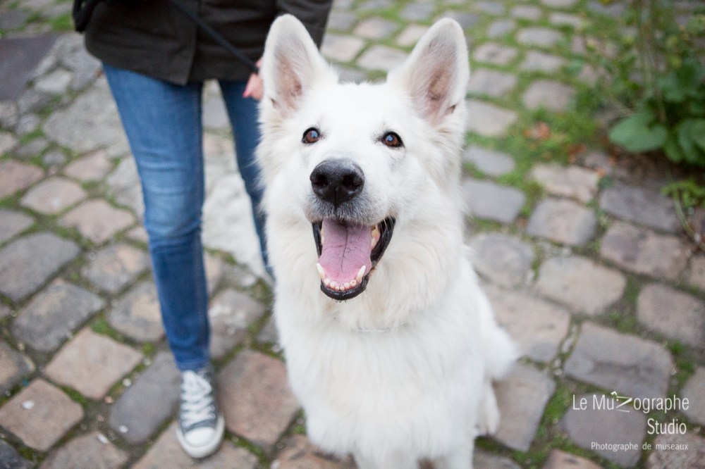 la balade de Kazan © Le MuZographe, 2015