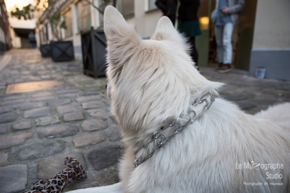 la balade de Kazan © Le MuZographe, 2015