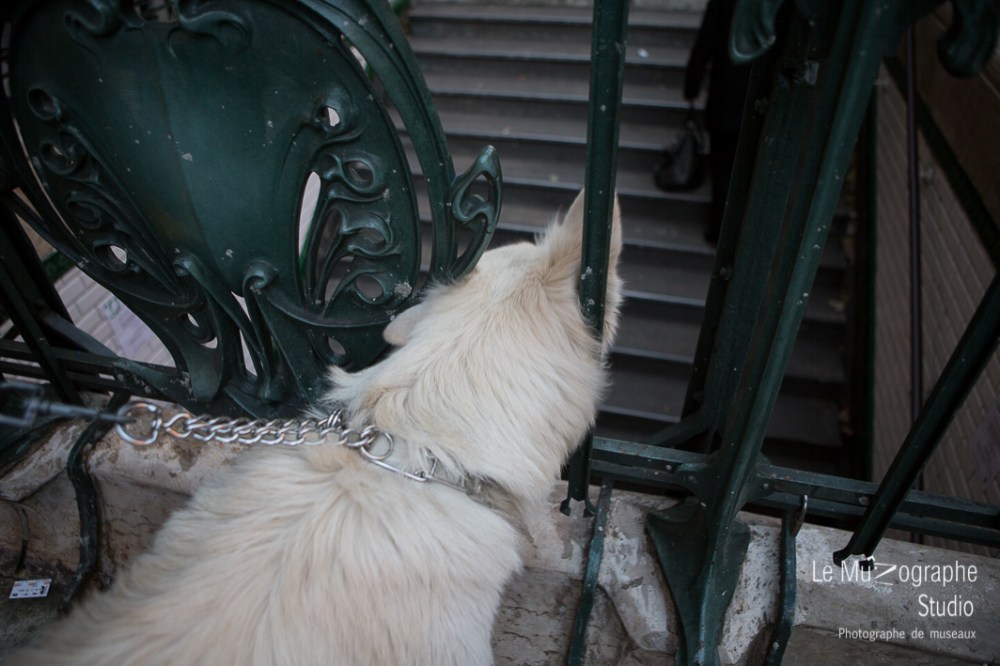 la balade de Kazan © Le MuZographe, 2015