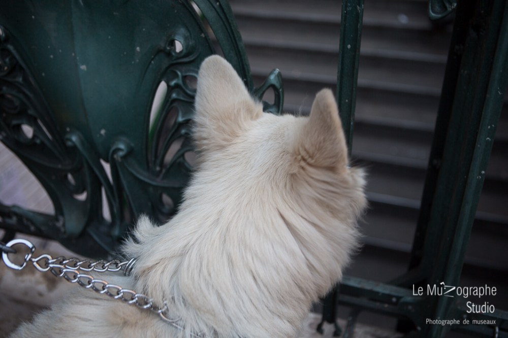 la balade de Kazan © Le MuZographe, 2015