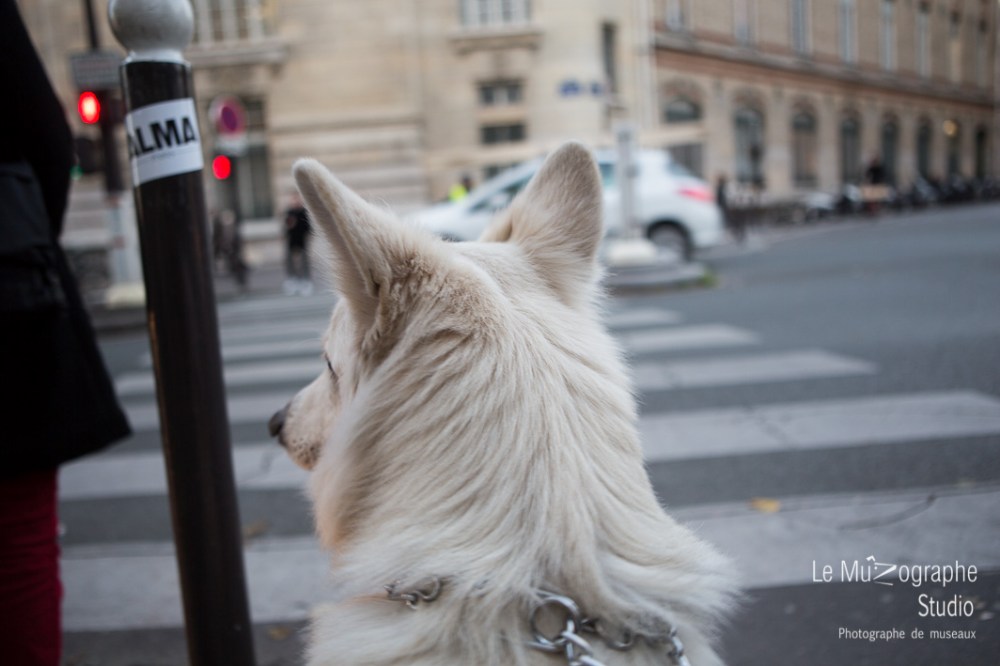 la balade de Kazan © Le MuZographe, 2015