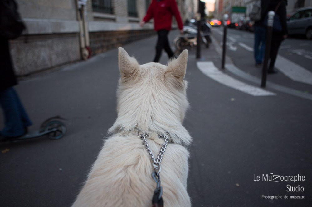 la balade de Kazan © Le MuZographe, 2015