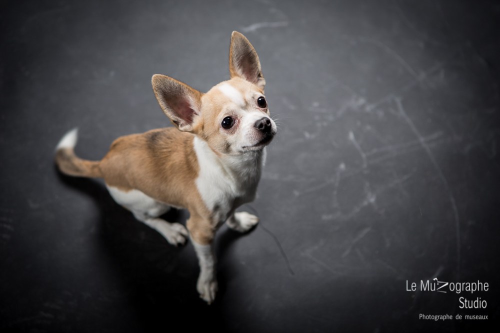 Hermès © Le MuZographe