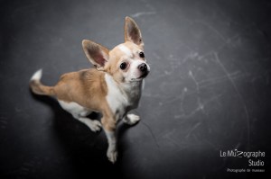 Hermès © Le MuZographe