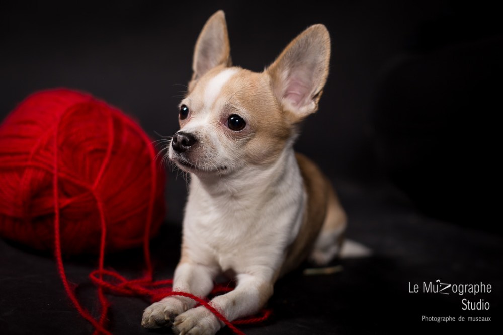 Hermès © Le MuZographe