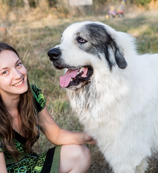 Jump, montagne des Pyrénées © Le MuZographe