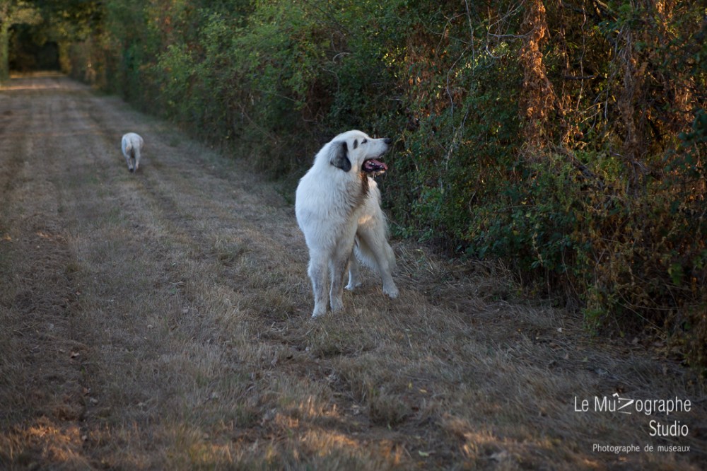 Jump, montagne des Pyrénées © Le MuZographeJump, montagne des Pyrénées © Le MuZographe