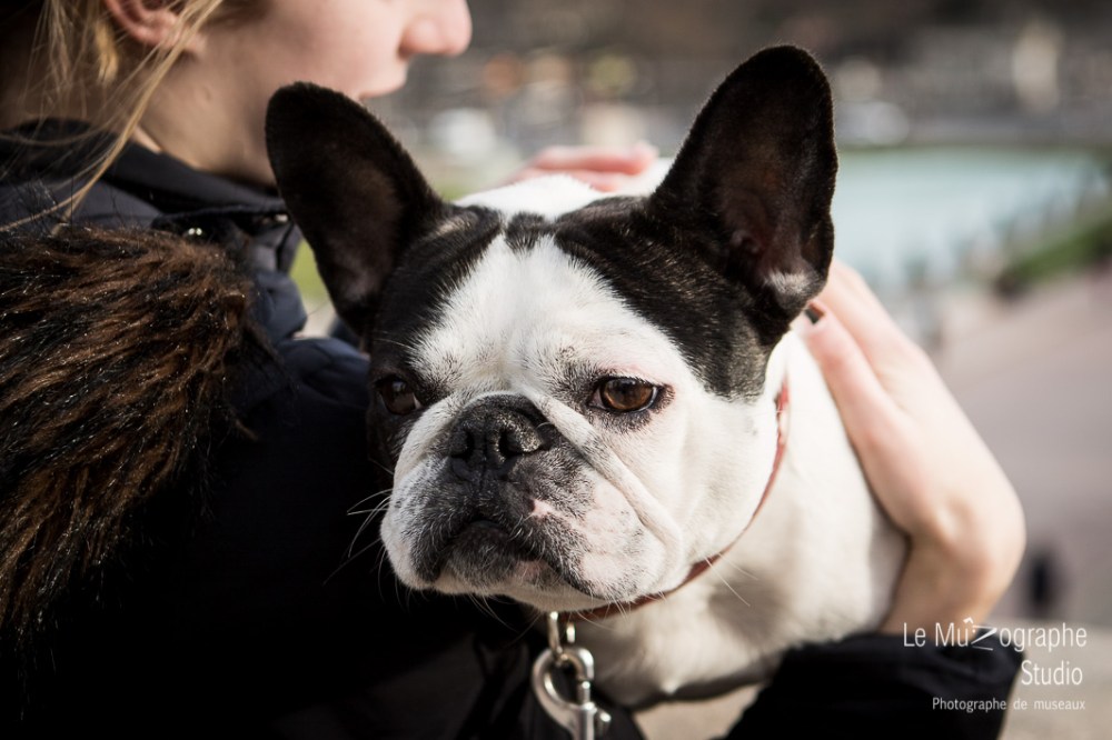 Helvète au Trocadéro © Le MuZographe, Paris