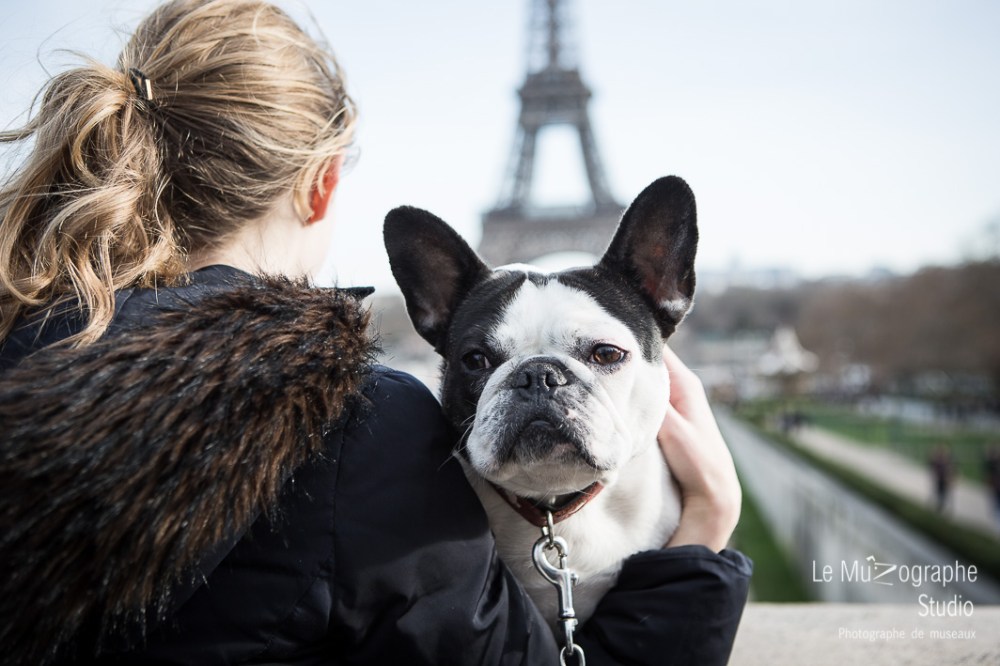 Helvète au Trocadéro © Le MuZographe, Paris