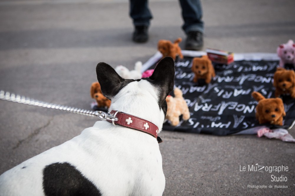 Helvète au Trocadéro © Le MuZographe, Paris