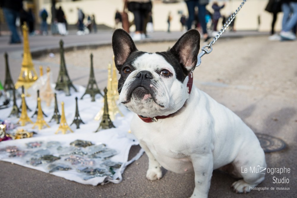 Helvète au Trocadéro © Le MuZographe, Paris
