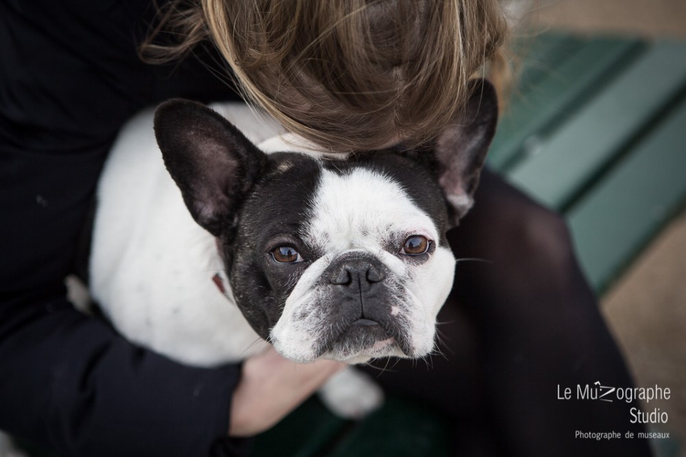 Helvète au Trocadéro © Le MuZographe, Paris