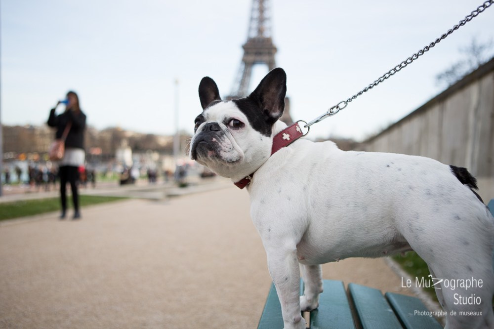 Helvete © Le MuZographe, Paris