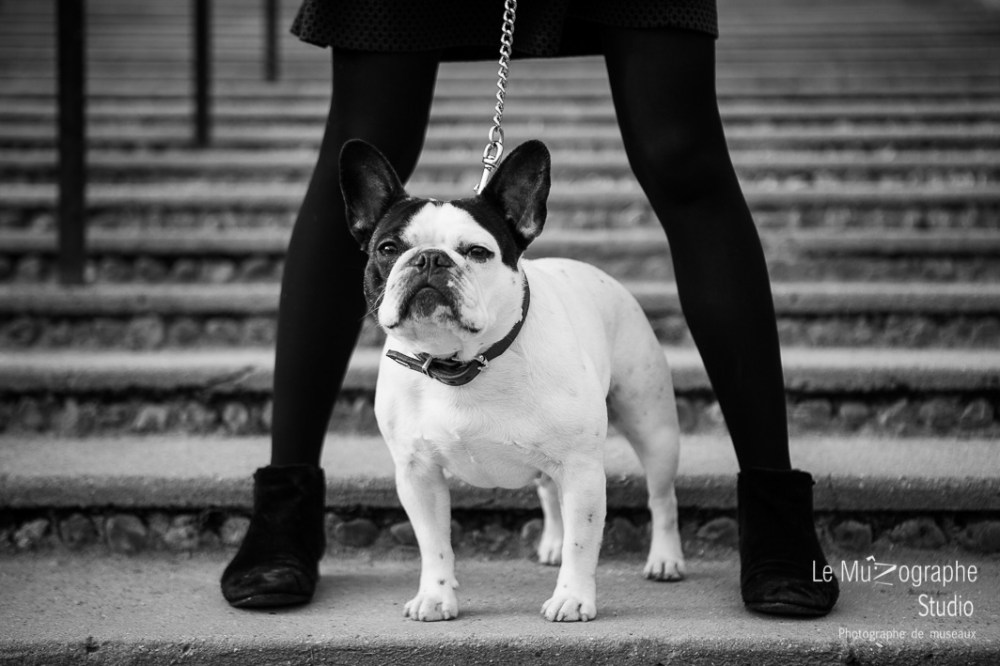 Helvète au Trocadéro © Le MuZographe, Paris