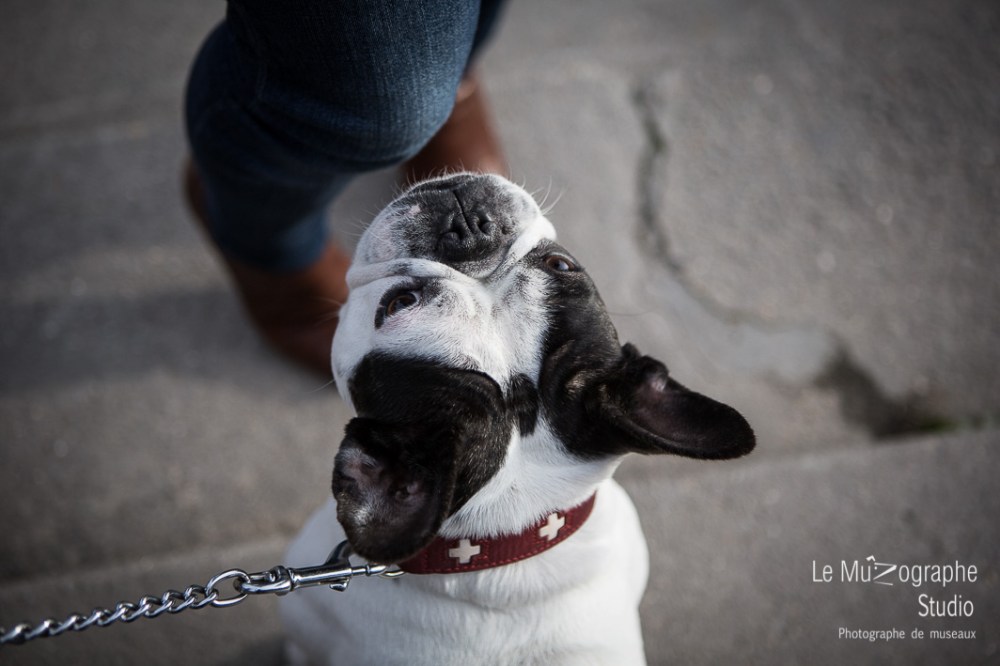 Helvète au Trocadéro © Le MuZographe, Paris