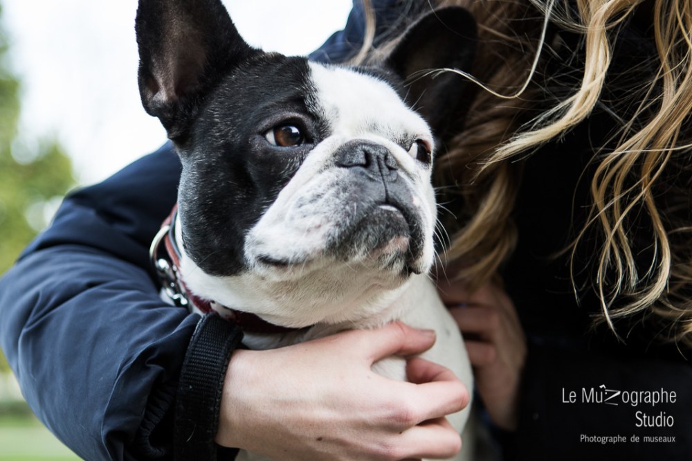 Helvète au Trocadéro © Le MuZographe, Paris