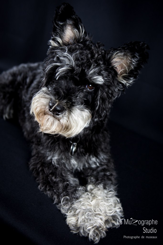 Snob et Marie © Le MuZographe