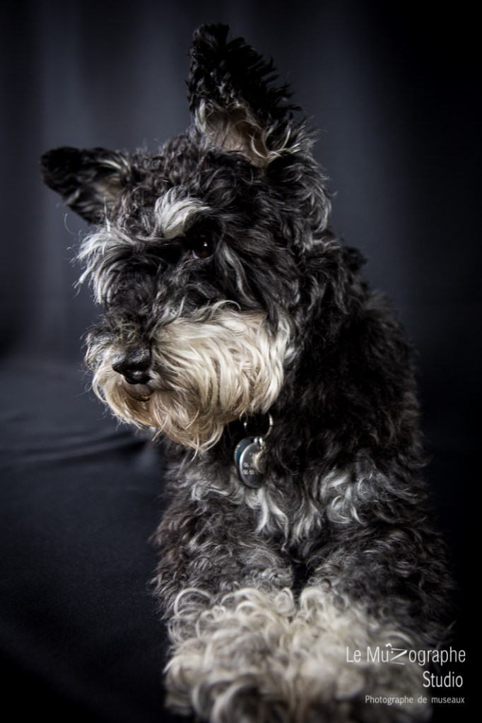 Snob et Marie © Le MuZographe