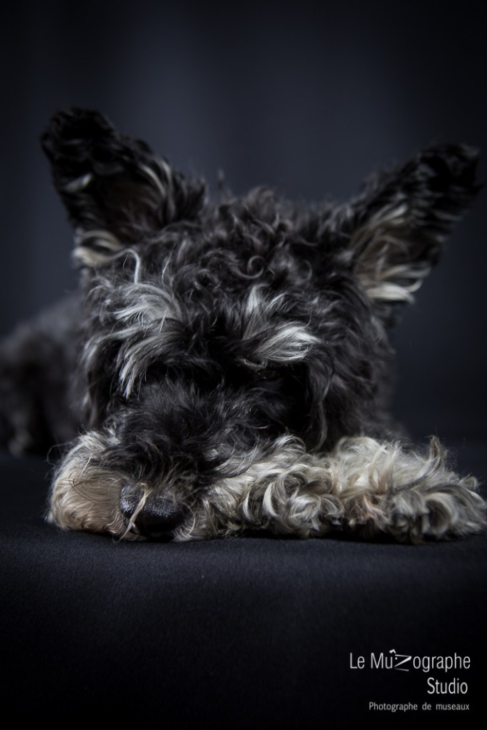 Snob et Marie © Le MuZographe