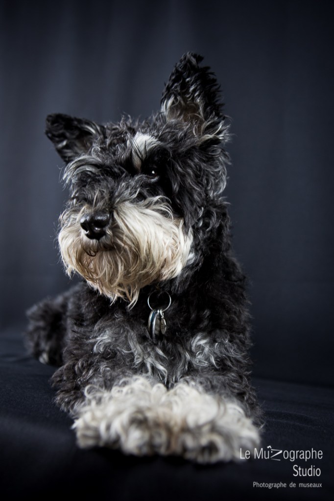 Snob et Marie © Le MuZographe