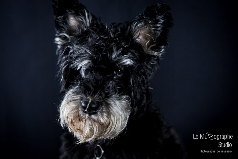 Snob et Marie © Le MuZographe