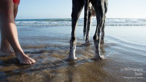 Minnie et Attila © Le MuZographe, Lisbonne