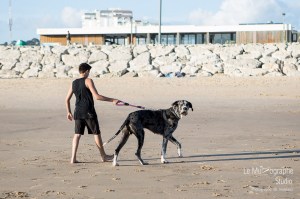 Minnie et Attila © Le MuZographe, Lisbonne