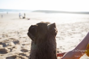 Minnie et Attila © Le MuZographe, Lisbonne