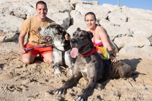 Minnie et Attila © Le MuZographe, Lisbonne