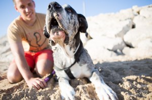 Minnie et Attila © Le MuZographe, Lisbonne