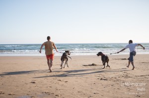 Minnie et Attila © Le MuZographe, Lisbonne