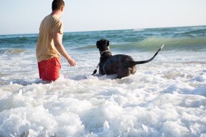 Minnie et Attila © Le MuZographe, Lisbonne