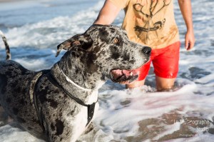 Minnie et Attila © Le MuZographe, Lisbonne