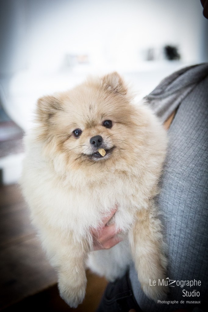 Bonnie © Le MuZographe