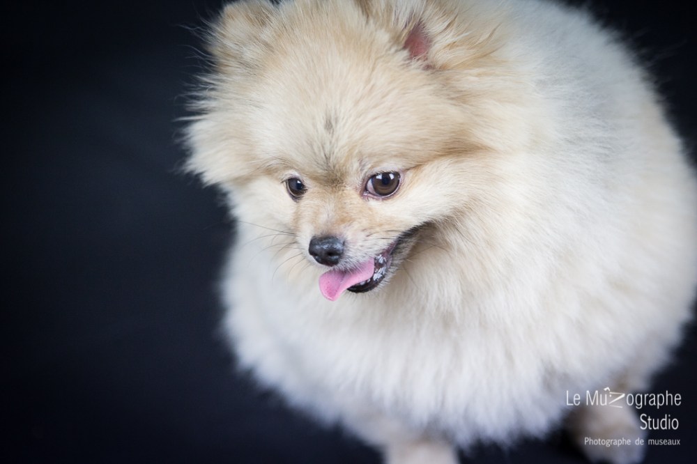 Bonnie © Le MuZographe