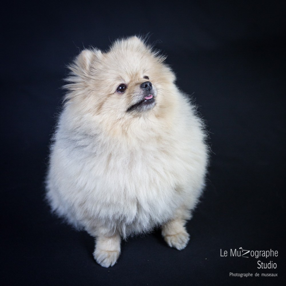 Bonnie © Le MuZographe