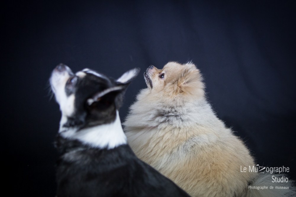 Bonnie © Le MuZographe