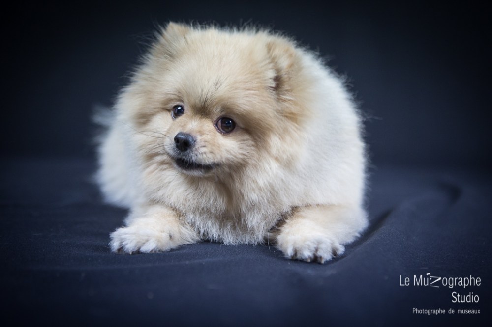 Bonnie © Le MuZographe