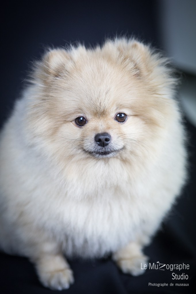 Bonnie © Le MuZographe