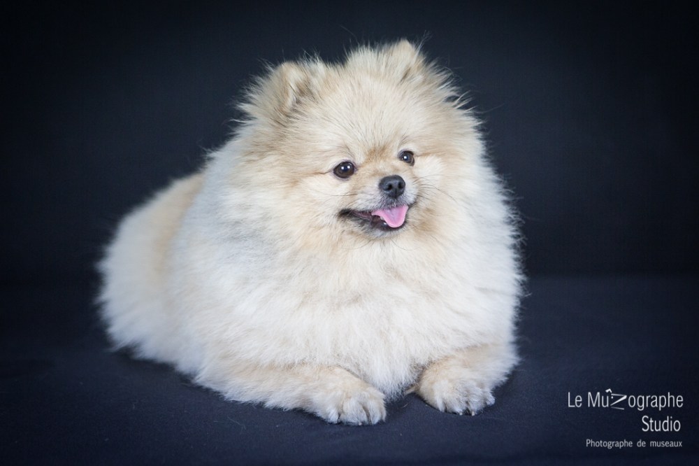 Bonnie © Le MuZographe