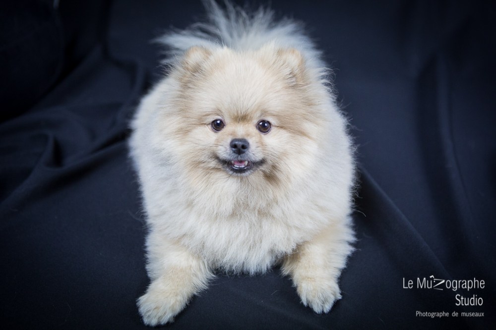 Bonnie © Le MuZographe