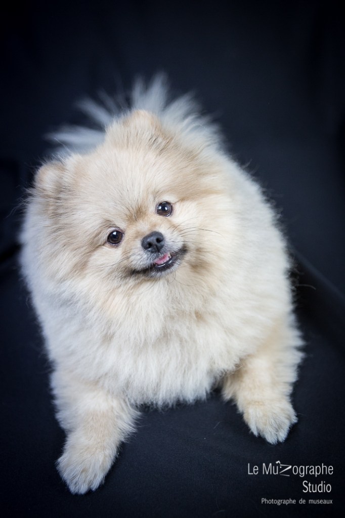 Bonnie © Le MuZographe