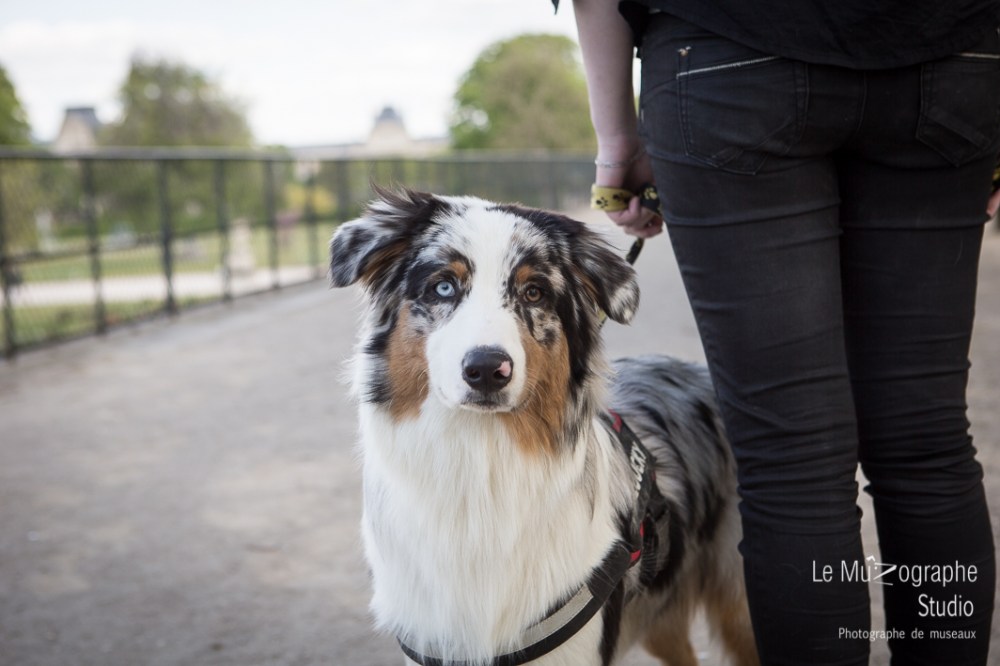 Loucky © Le MuZographe